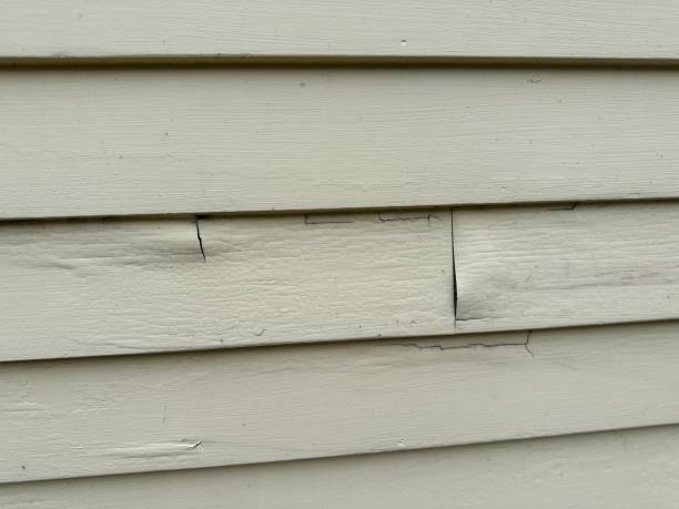 Professional Siding Installation & Repair in Southchase, FL